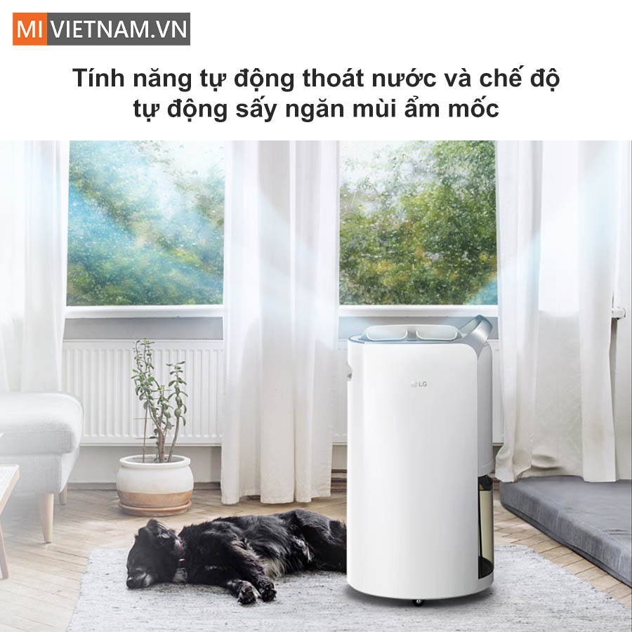 Máy hút ẩm LG Dual Inverter 16L