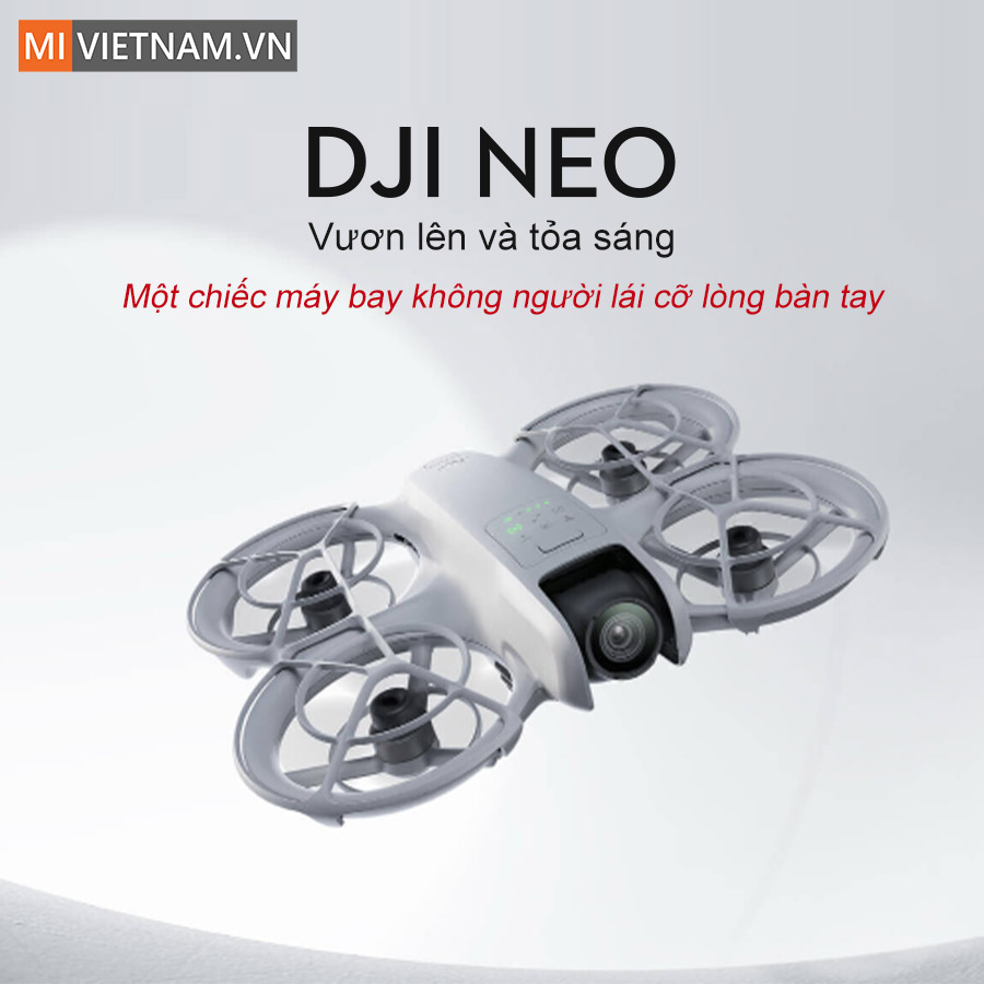 Flycam DJI Neo