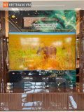 mivietnam tivi xiaomi tv s mini led 85 2026 anh thuc 5