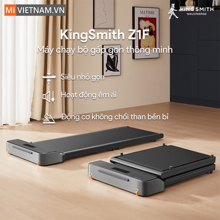 KingSmith Z1F