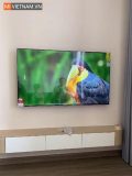 mivietnam xiaomi TV A Google TV QLED series att 22