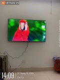 mivietnam xiaomi TV A Pro Google TV QLED series anh thuc te 25